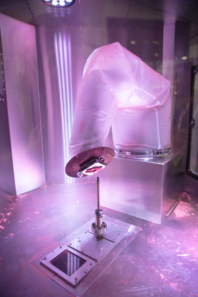 ラピッド2022 (18)